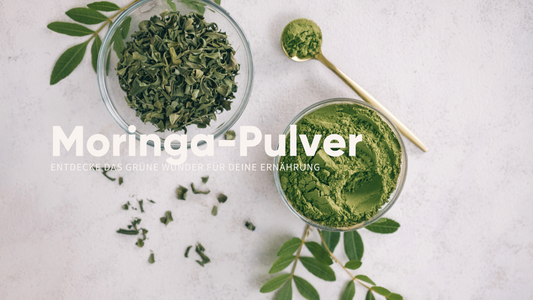 Moringa-Protein: Entdecke das grüne Wunder für deine Ernährung - Gymtrail