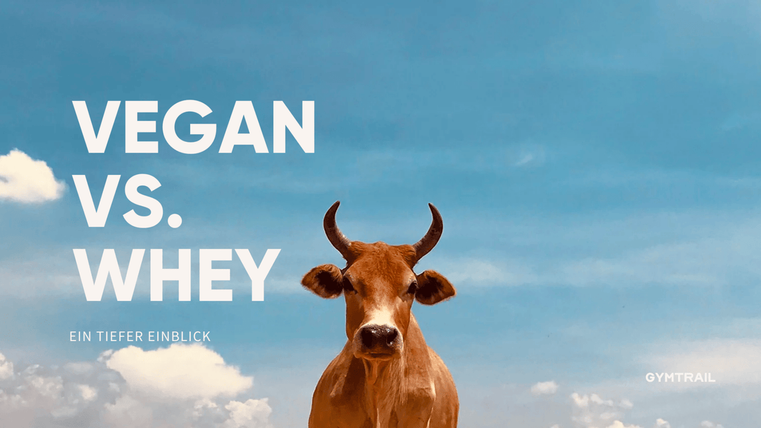 Veganes Protein vs. Whey Protein: Was ist besser für deine Gesundheit und die Umwelt? - Gymtrail