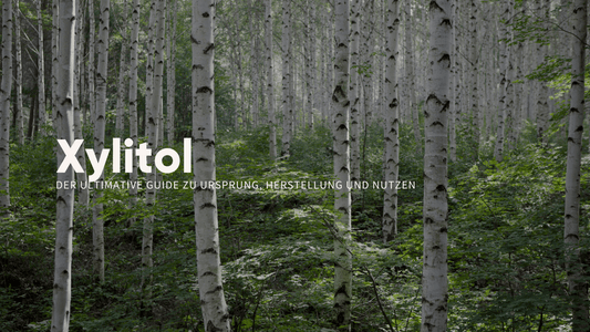 Xylitol: Der ultimative Guide zu Ursprung, Herstellung und Nutzen - Gymtrail