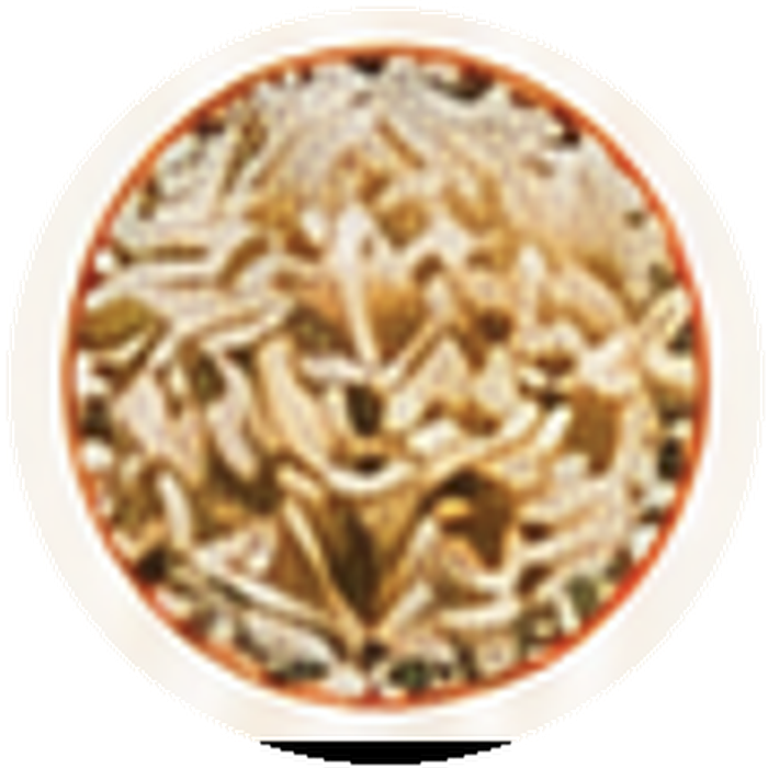 Eine Nahaufnahme eines runden, goldbraunen Objekts mit einer strukturierten, geriffelten Oberfläche, das an knusprig gebratene Nudeln oder Snackstäbchen erinnert und sich innerhalb eines kreisförmigen Rahmens befindet.